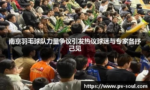 南京羽毛球队力量争议引发热议球迷与专家各抒己见