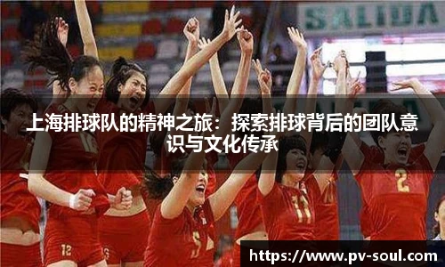 上海排球队的精神之旅：探索排球背后的团队意识与文化传承